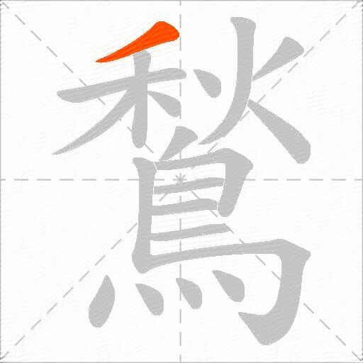 鶖