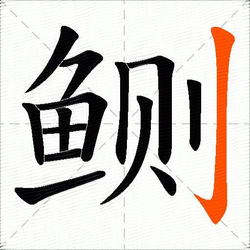 鲗