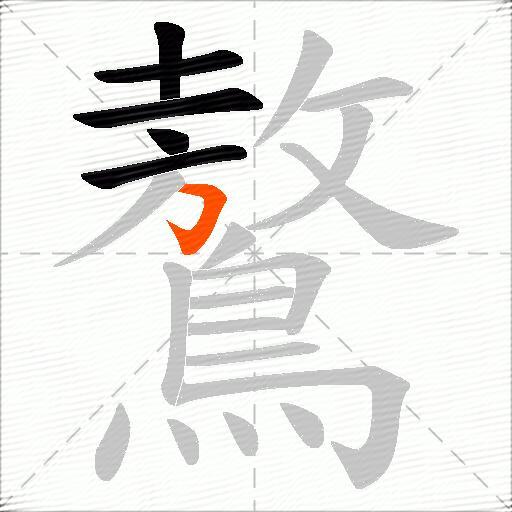 鷔