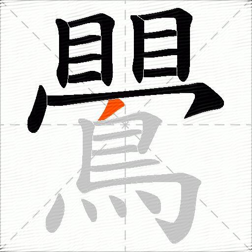 鷪