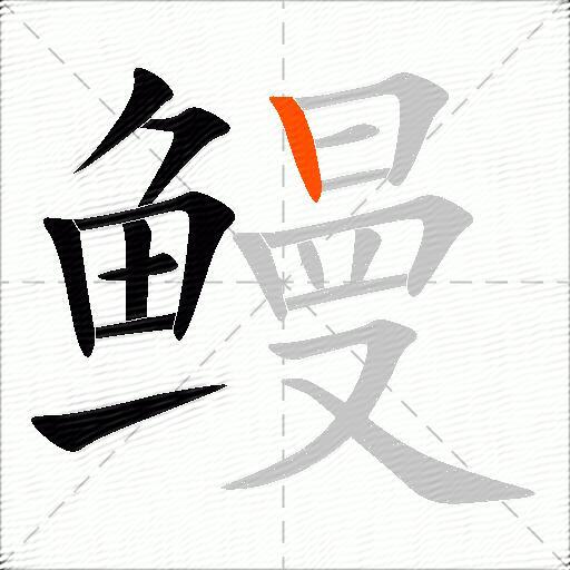 鳗