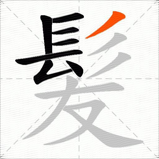 髪