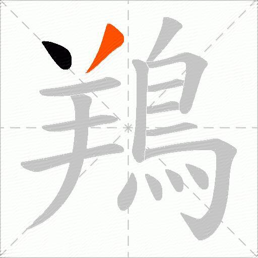 鴹