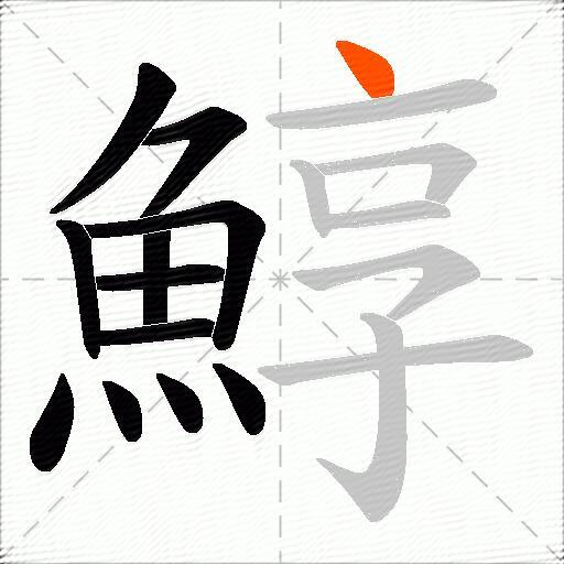 鯙