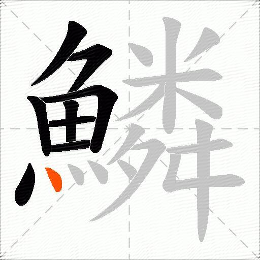 鱗