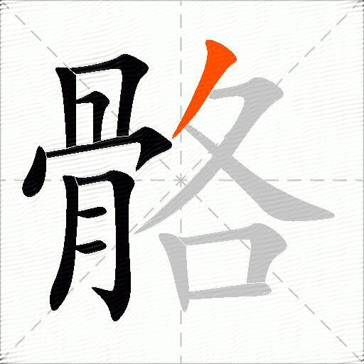 骼