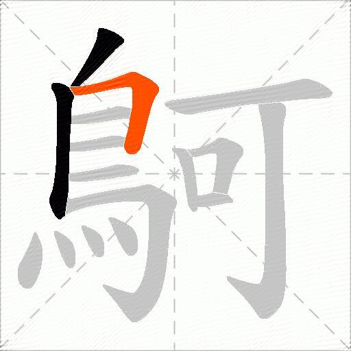 鴚