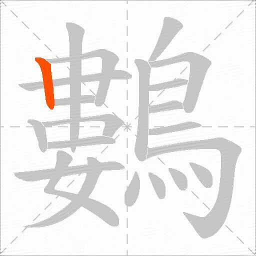 鷜