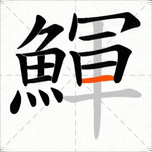 鯶