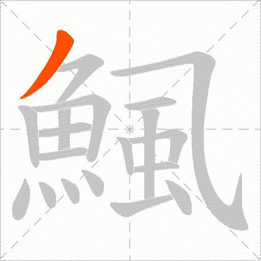 鯴