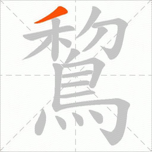 鵹