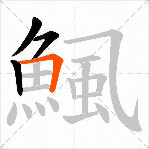 鯴