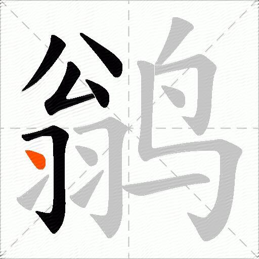 鹟