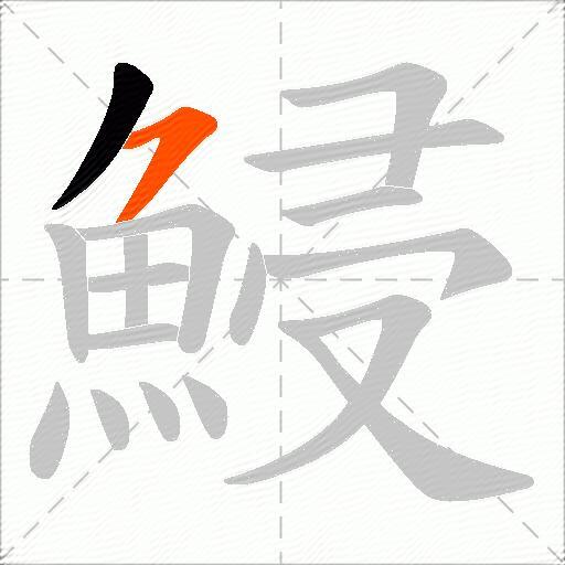 鮼