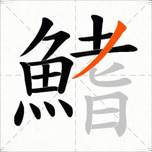 鰭
