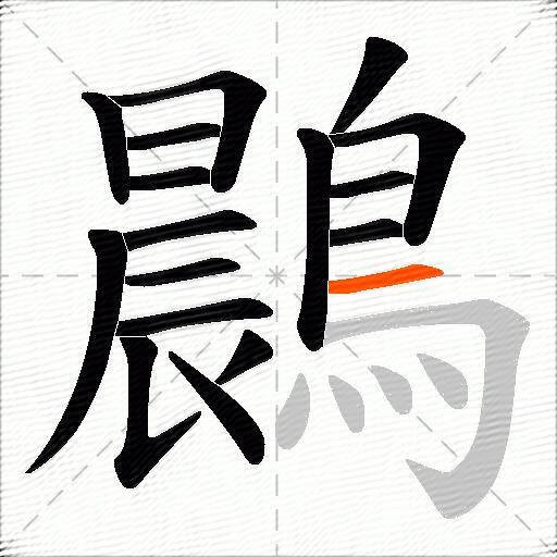 鷐