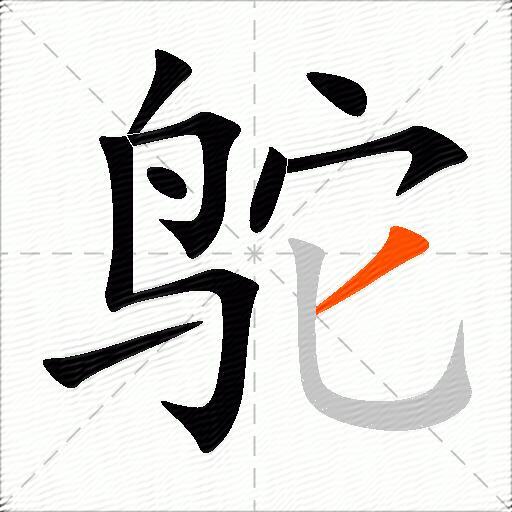 鸵
