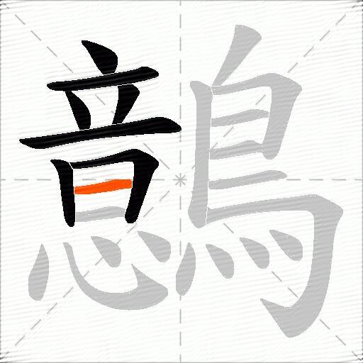鷾