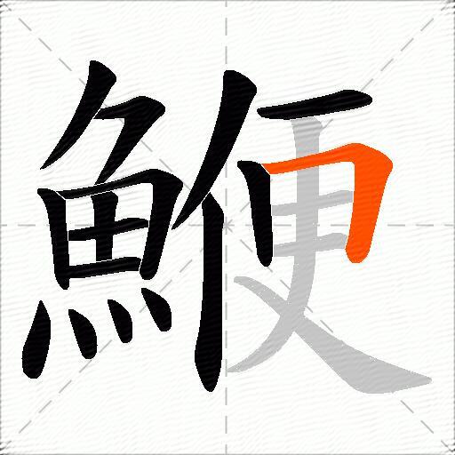 鯾