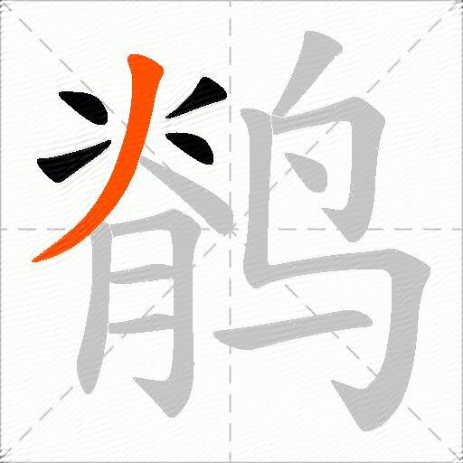 鹡