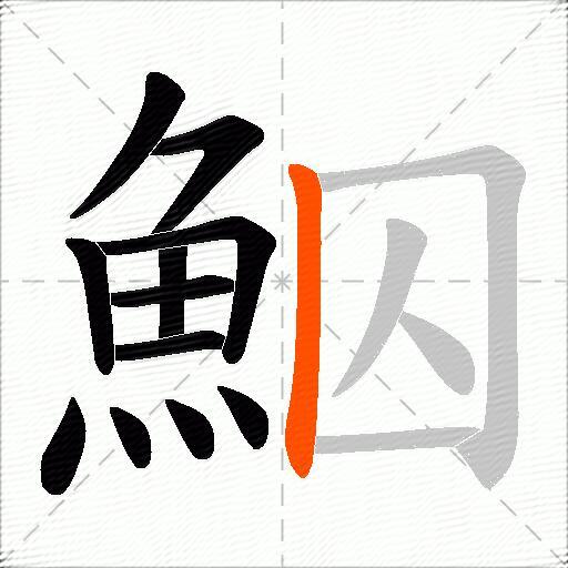 鮂
