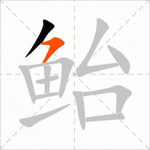 鲐