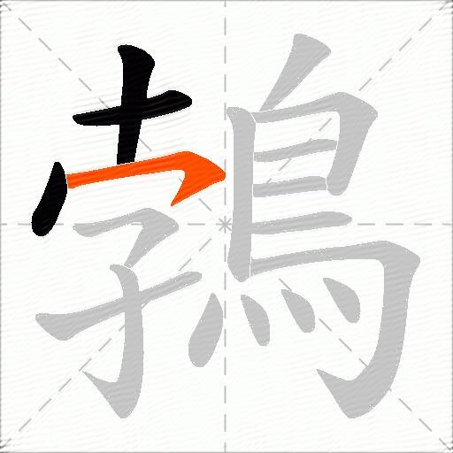 鵓