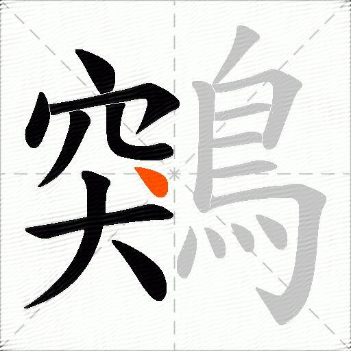 鶟