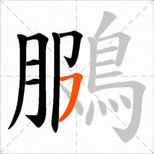 鵩