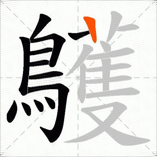 鸌