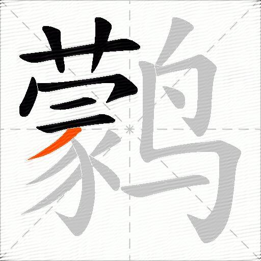 鹲