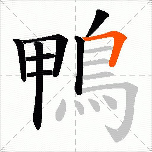 鴨