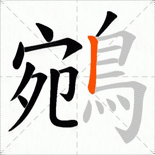 鵷