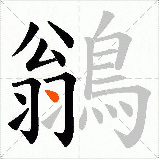 鶲