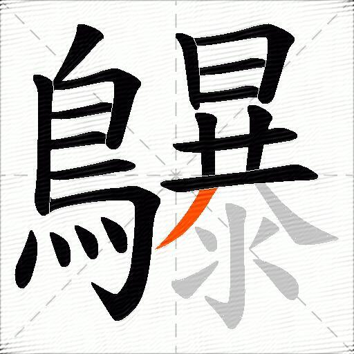 鸔