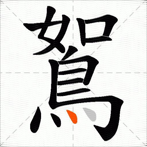 鴽