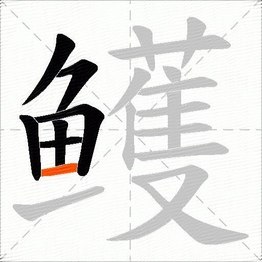 鳠