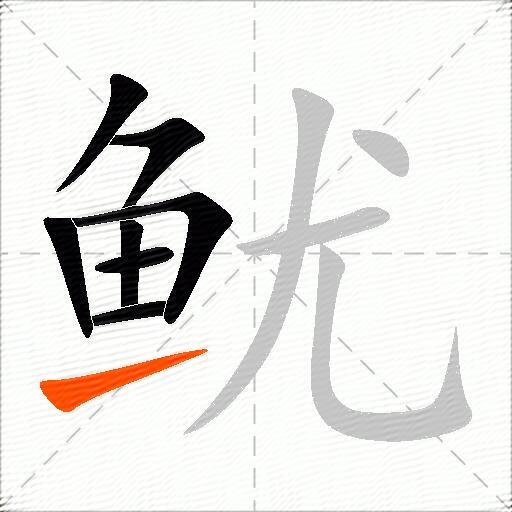 鱿