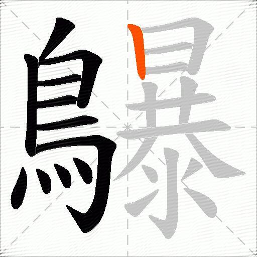 鸔