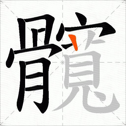 髖