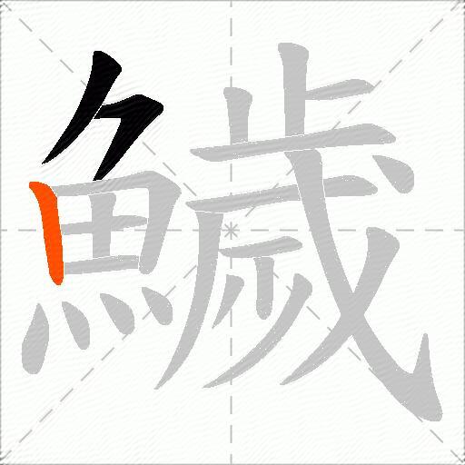鱥