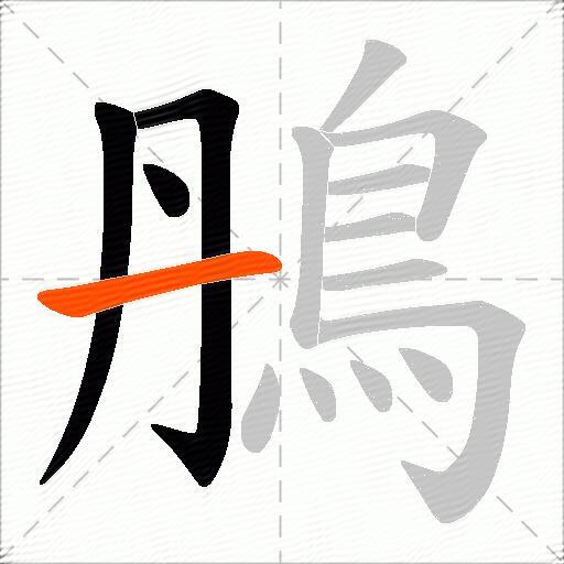 鴅