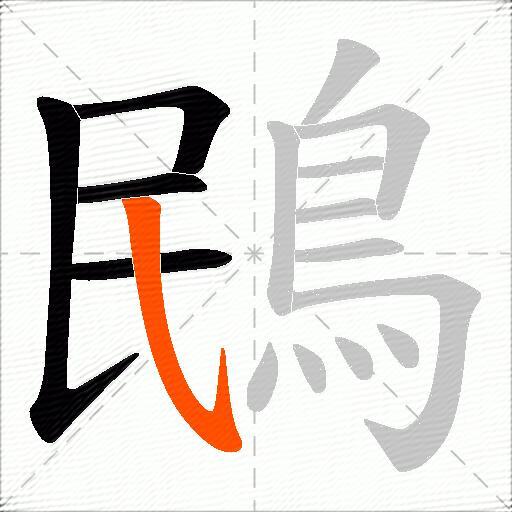 鴖