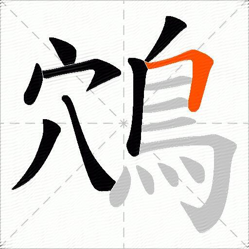 鴪