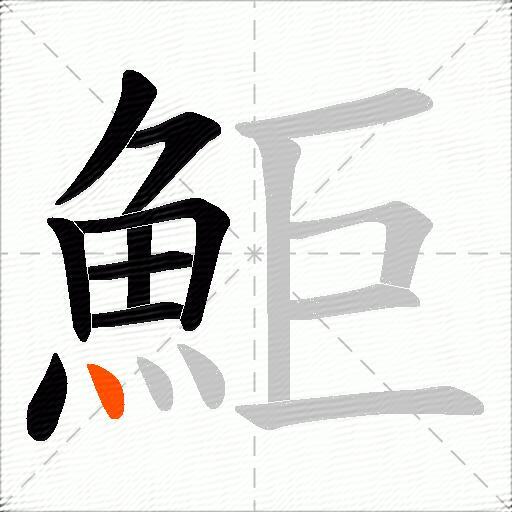 鮔