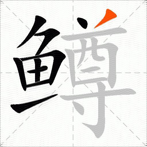 鳟