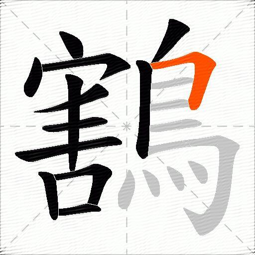 鶷