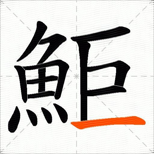 鮔