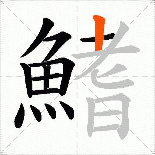 鰭