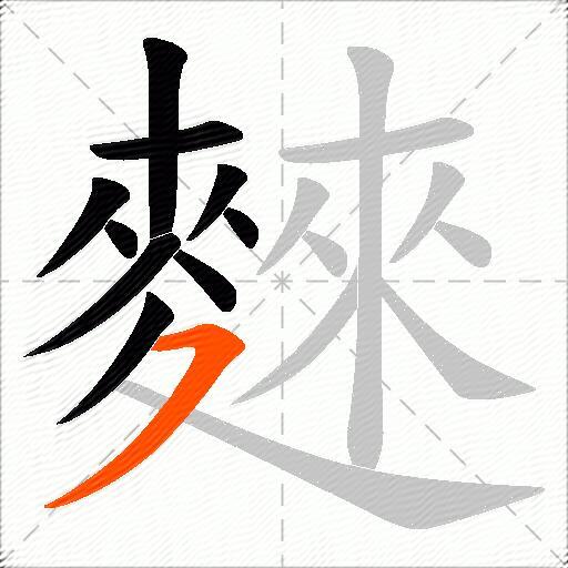 麳